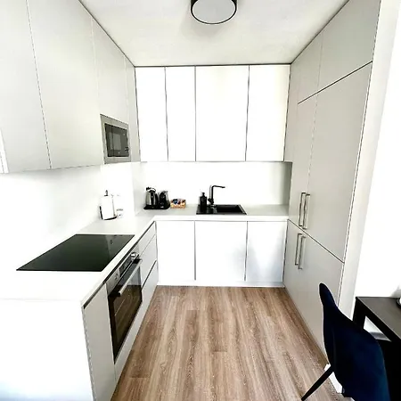 S Klimatizaciou A Balkonom Pri Letisku Bts 公寓