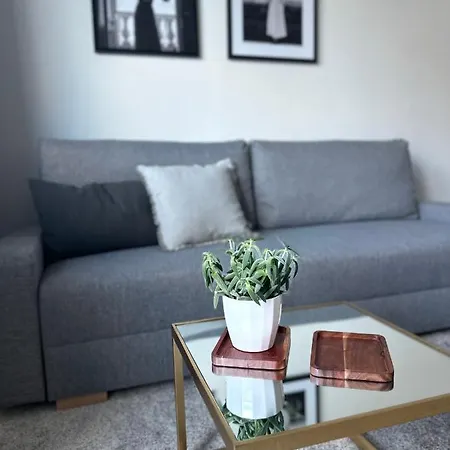 S Klimatizaciou A Balkonom Pri Letisku Bts Апартаменты *