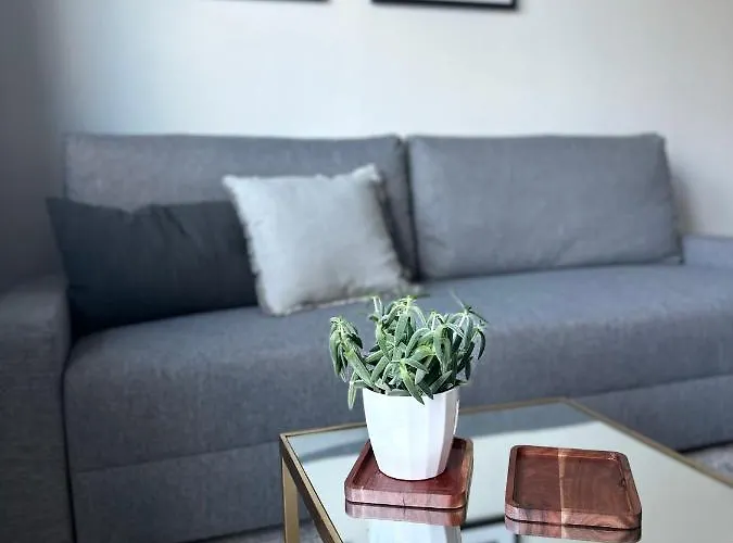 S Klimatizaciou A Balkonom Pri Letisku Bts Apartmán *