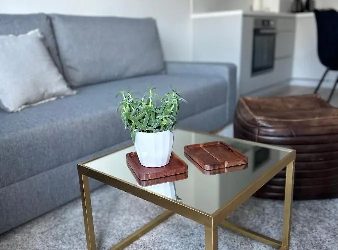 Appartement S Klimatizaciou A Balkonom Pri Letisku Bts Bratislava