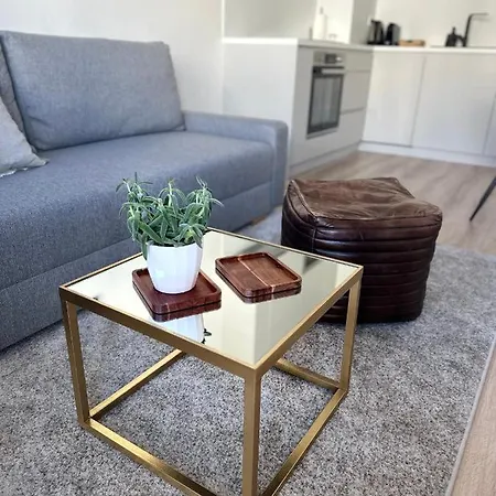 S Klimatizaciou A Balkonom Pri Letisku Bts ブラチスラヴァ