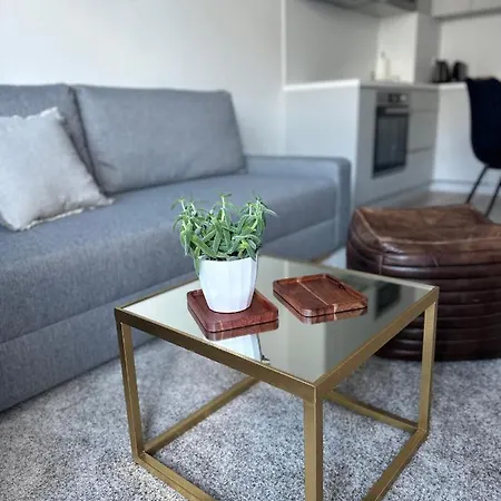 アパート S Klimatizaciou A Balkonom Pri Letisku Bts ブラチスラヴァ