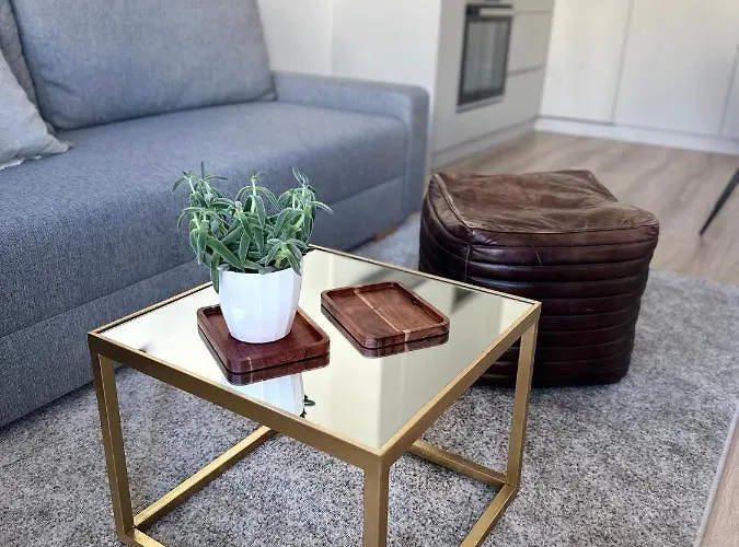 S Klimatizaciou A Balkonom Pri Letisku Bts ブラチスラヴァ